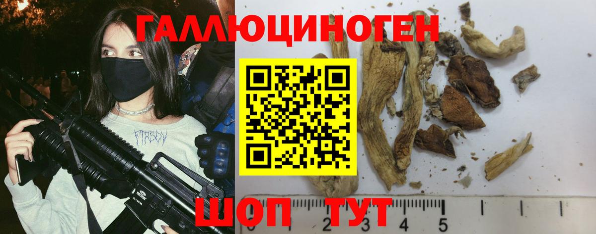 Калач-на-Дону  Псилоцибиновые грибы мицелий  Вход с VPN  продажа наркотиков  Галлюциногенные грибы GOLDEN TEACHER 