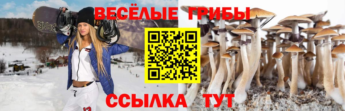 Галлюциногенные грибы мицелий Калач-на-Дону